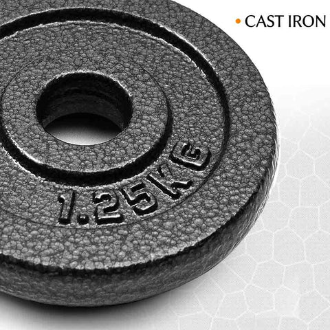 1 inch 2 x 1.25 KG Set Cast Iron Dumbbell Weight Plates