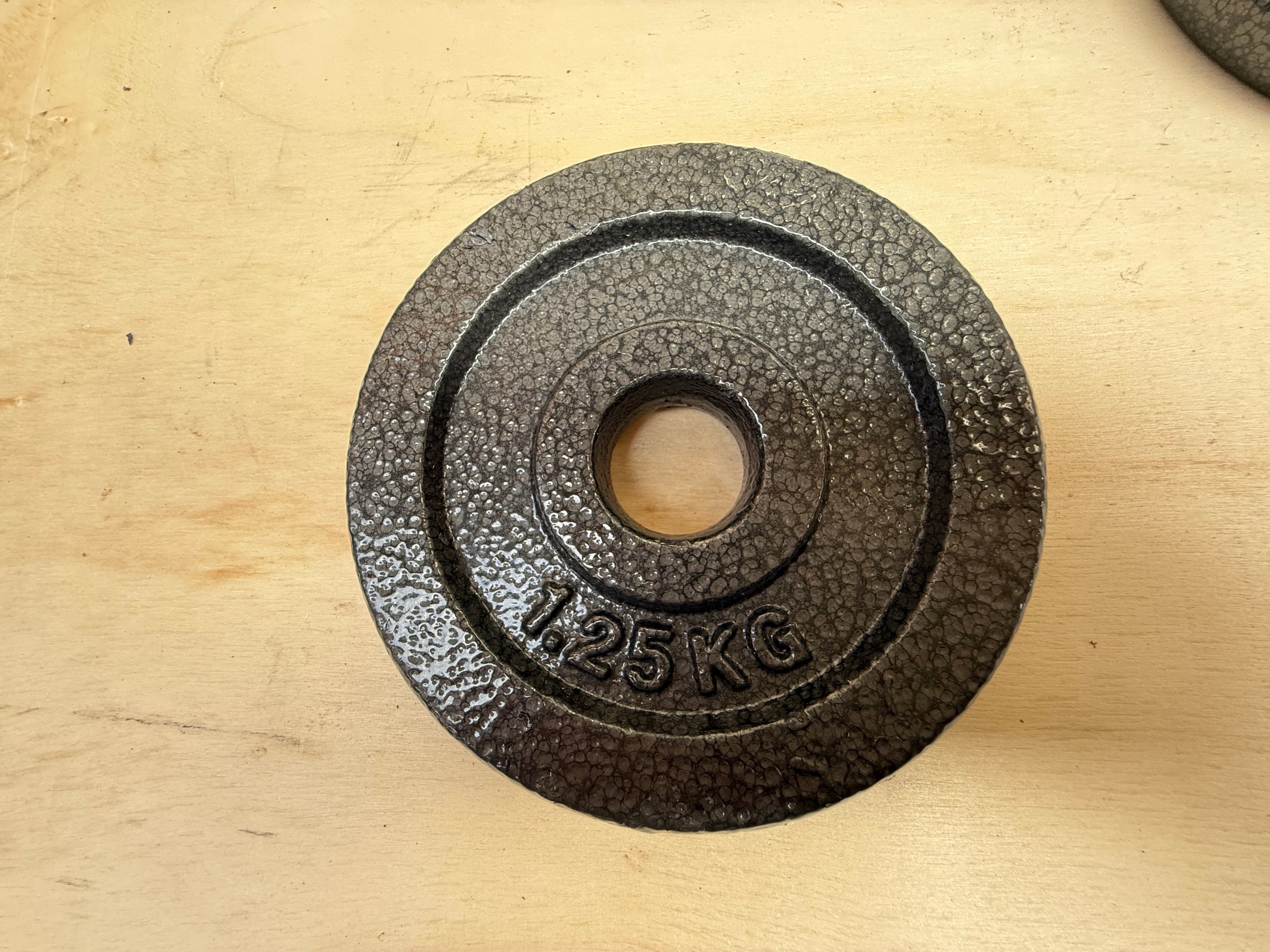 1.25 kg weight plates set