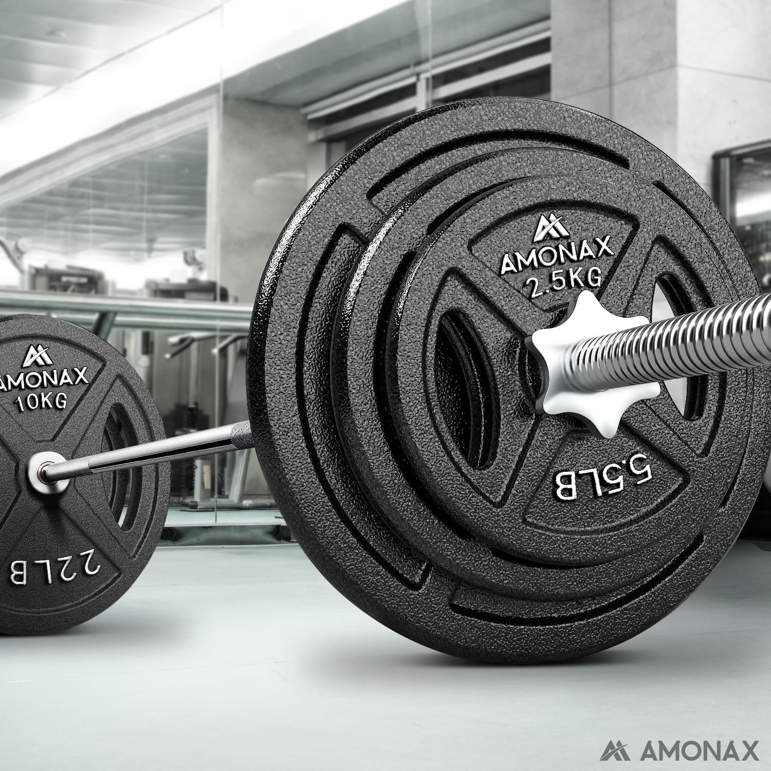 10kg weight plates