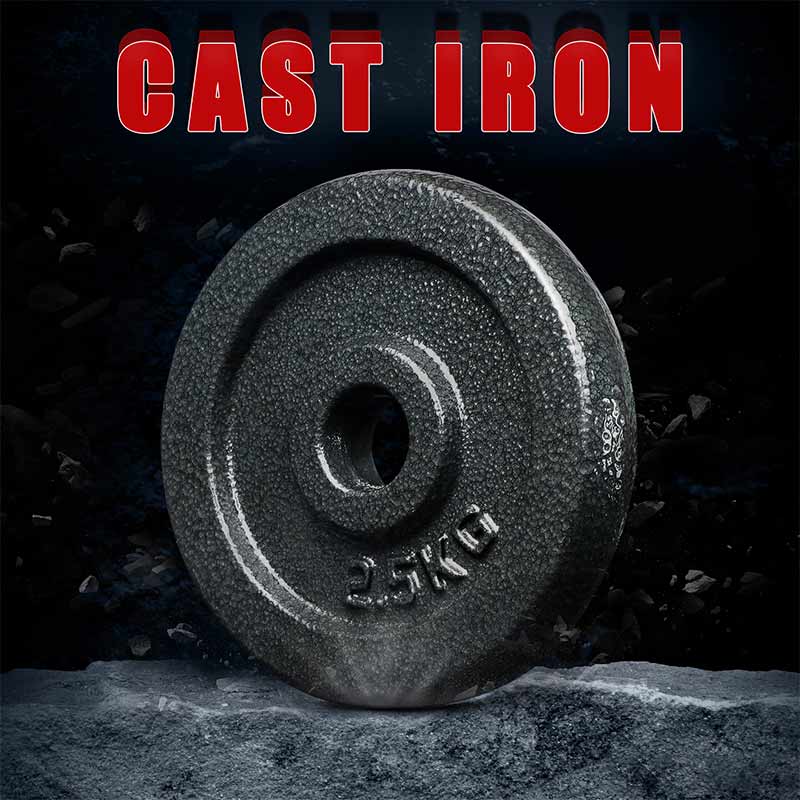 cast iron home dumbbell set