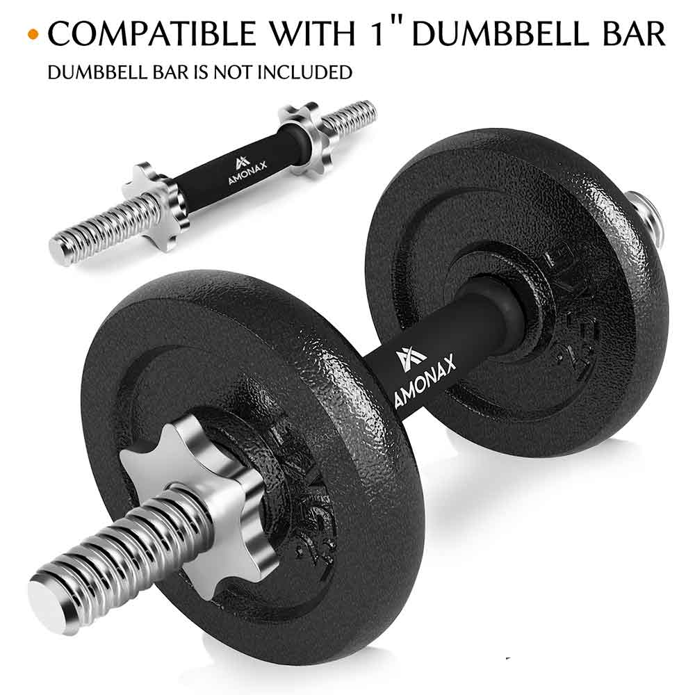 1-inch cast iron dumbbell weight plates set 2.5KG pair