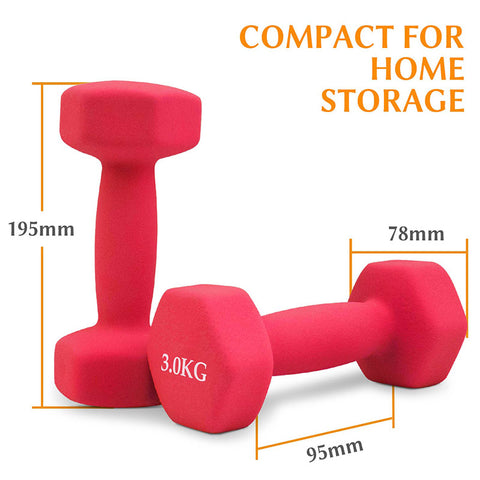 3KG Women s Pink Hand Dumbbells Pair Set Total 6KG Weights AMONAX