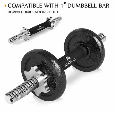 Dumbbell Weight Plates (Cast Iron, 2 x 1.25 KG Set)