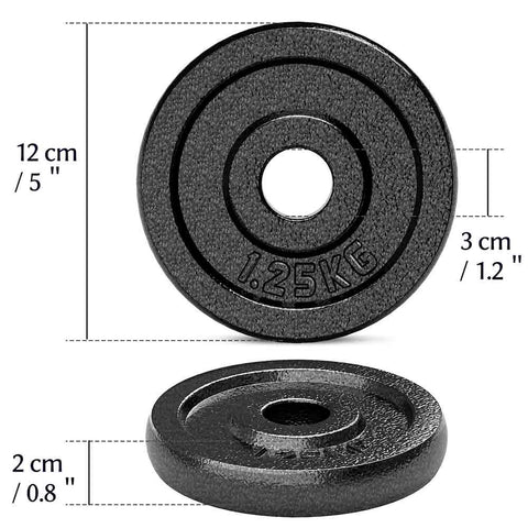 Dumbbell Weight Plates (Cast Iron, 2 x 1.25 KG Set)